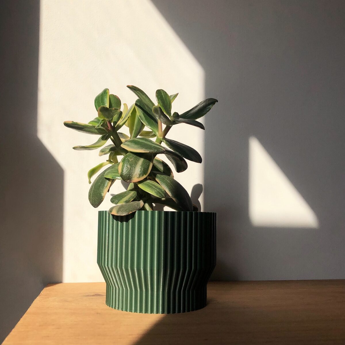 Niza Pot I